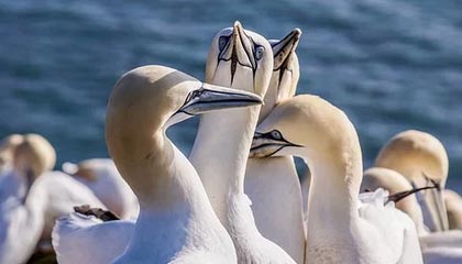 乐鱼体育登录：开启你的专属体育娱乐新纪元