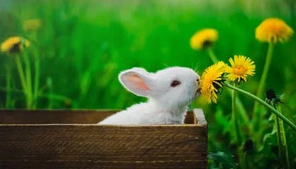 乐鱼体育登录：开启你的专属体育娱乐新纪元